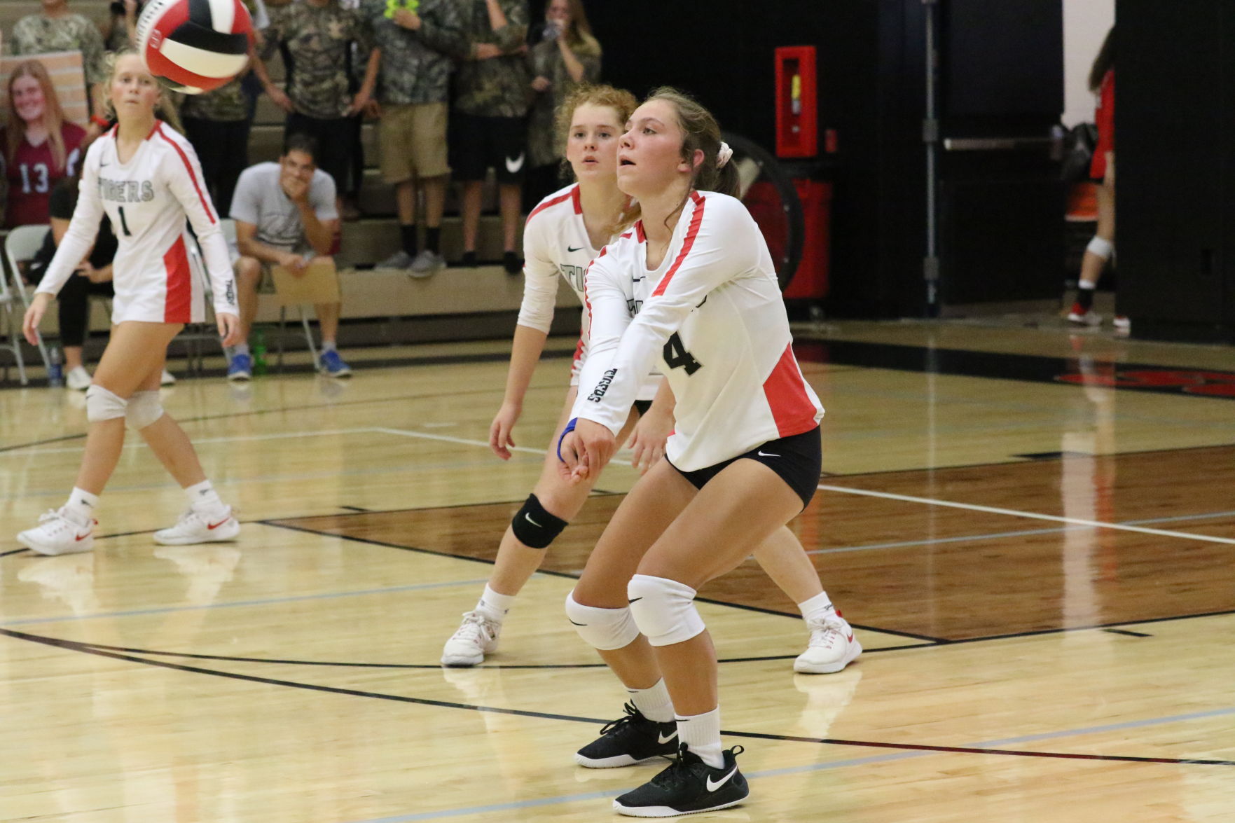 Teske_SHHawks_7403.JPG